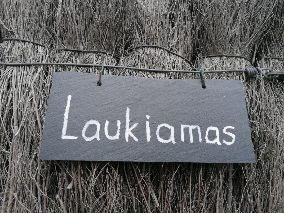Laukiamas - Housity