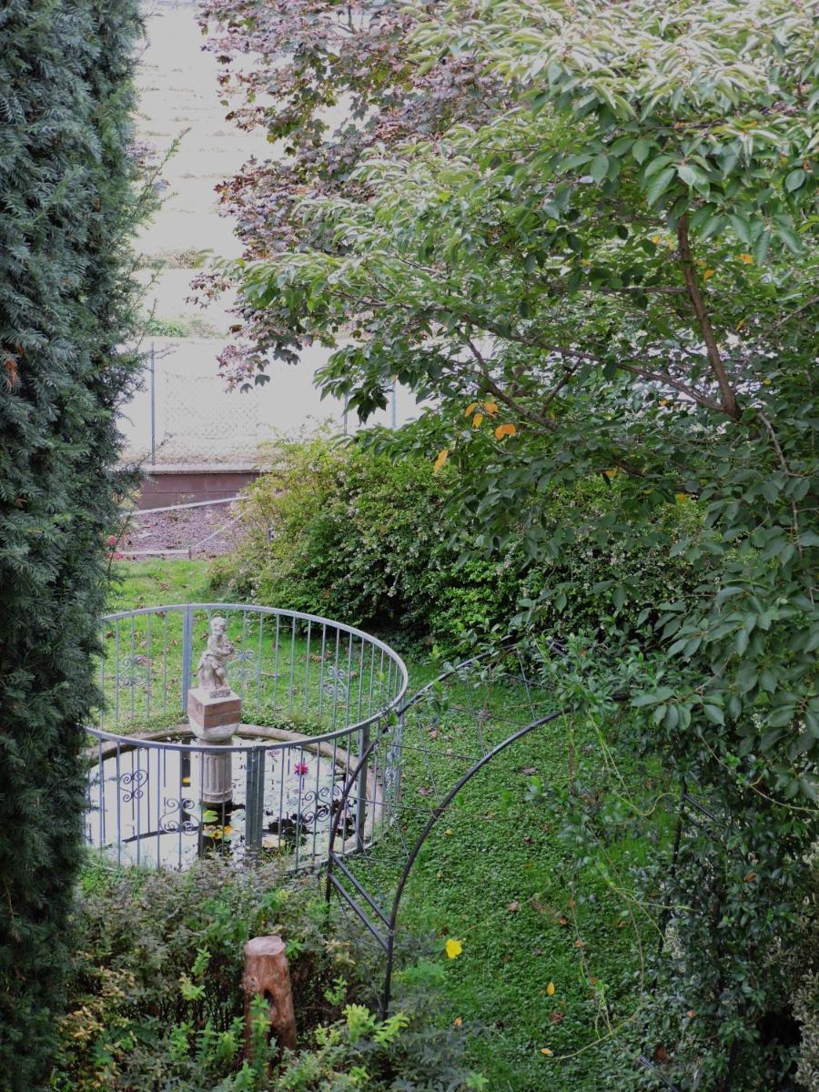 B&B LA QUERCIA DI MERY - Housity