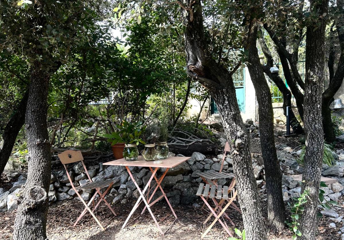 Joli studio Les Hibiscus du Pic Saint Loup - Housity