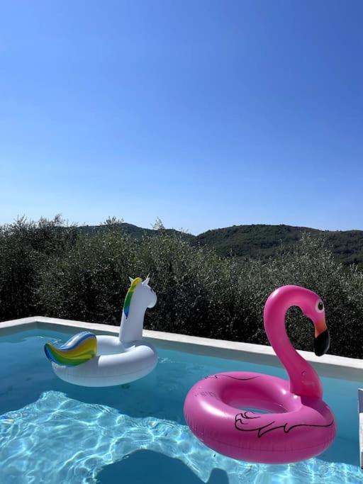 Beautiful Ligurian house with pool - Housity