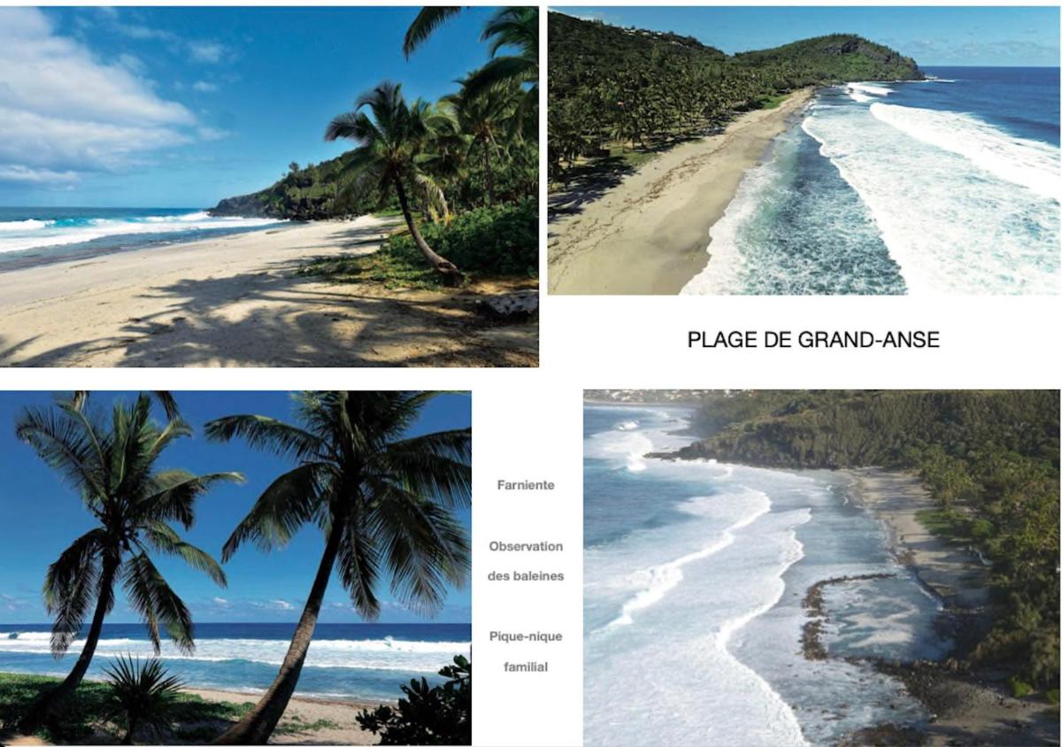 Alambic de Grand Anse - Housity