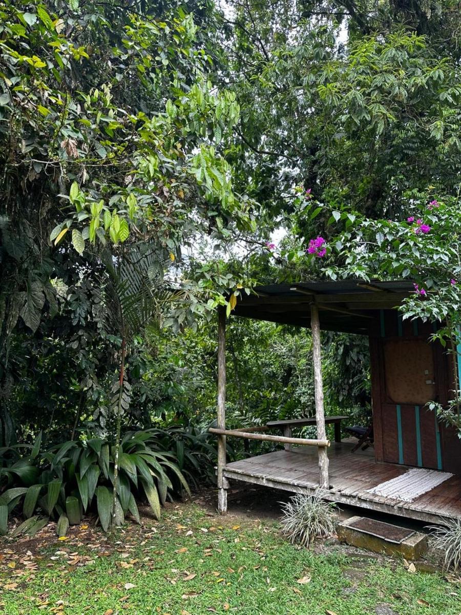 Casa Rio Blanco Eco Friendly B&B - Housity