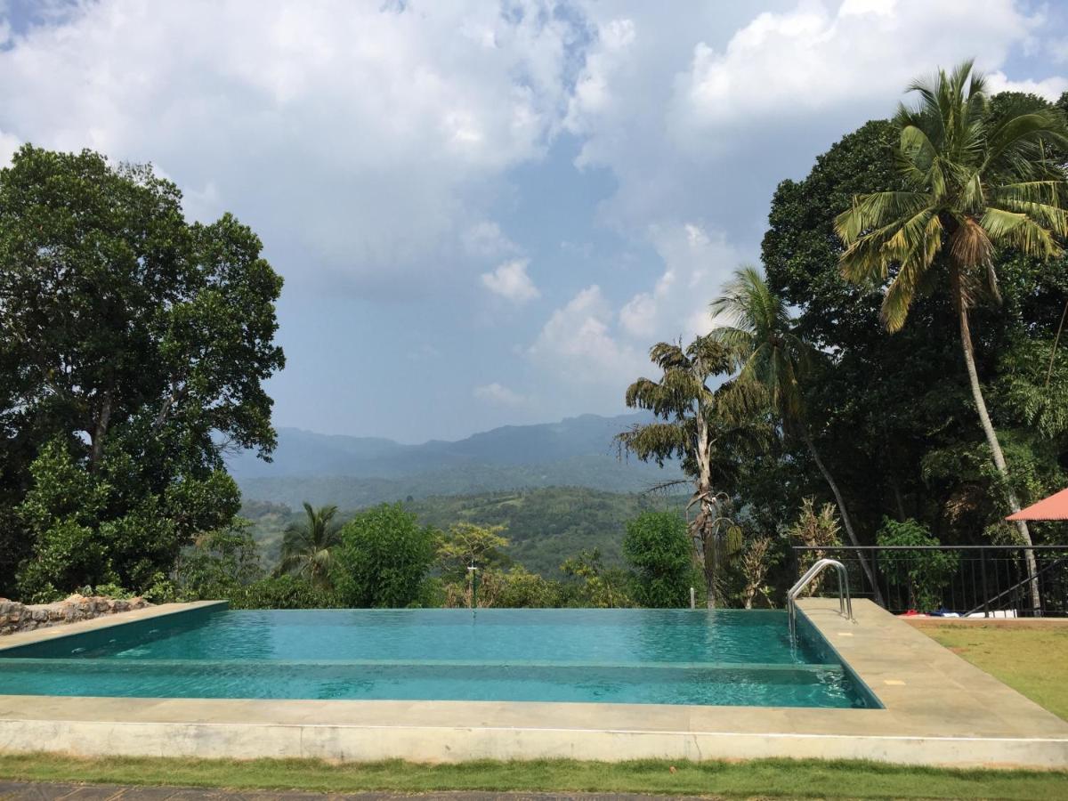 Paradise Forest Garden - Housity