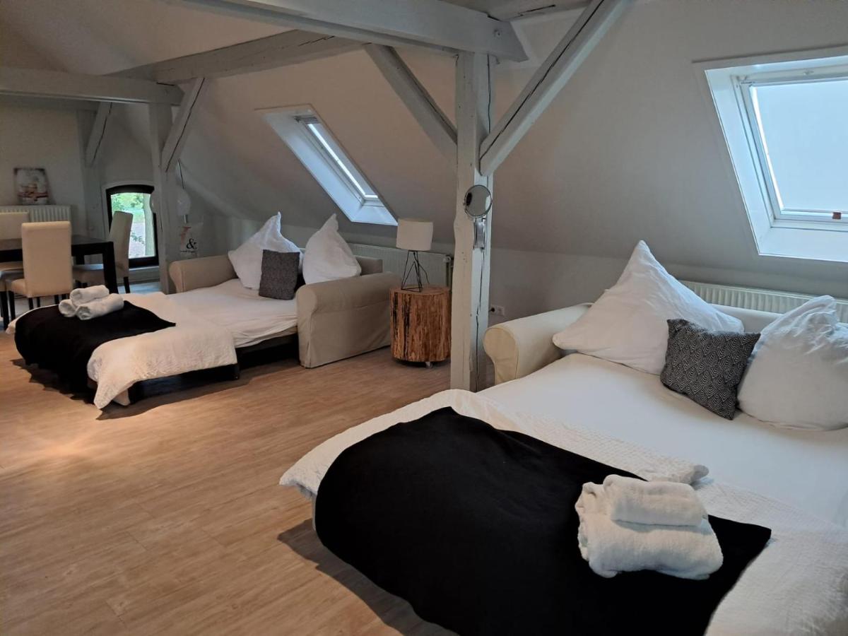 Herberge der Alten Schule - Housity