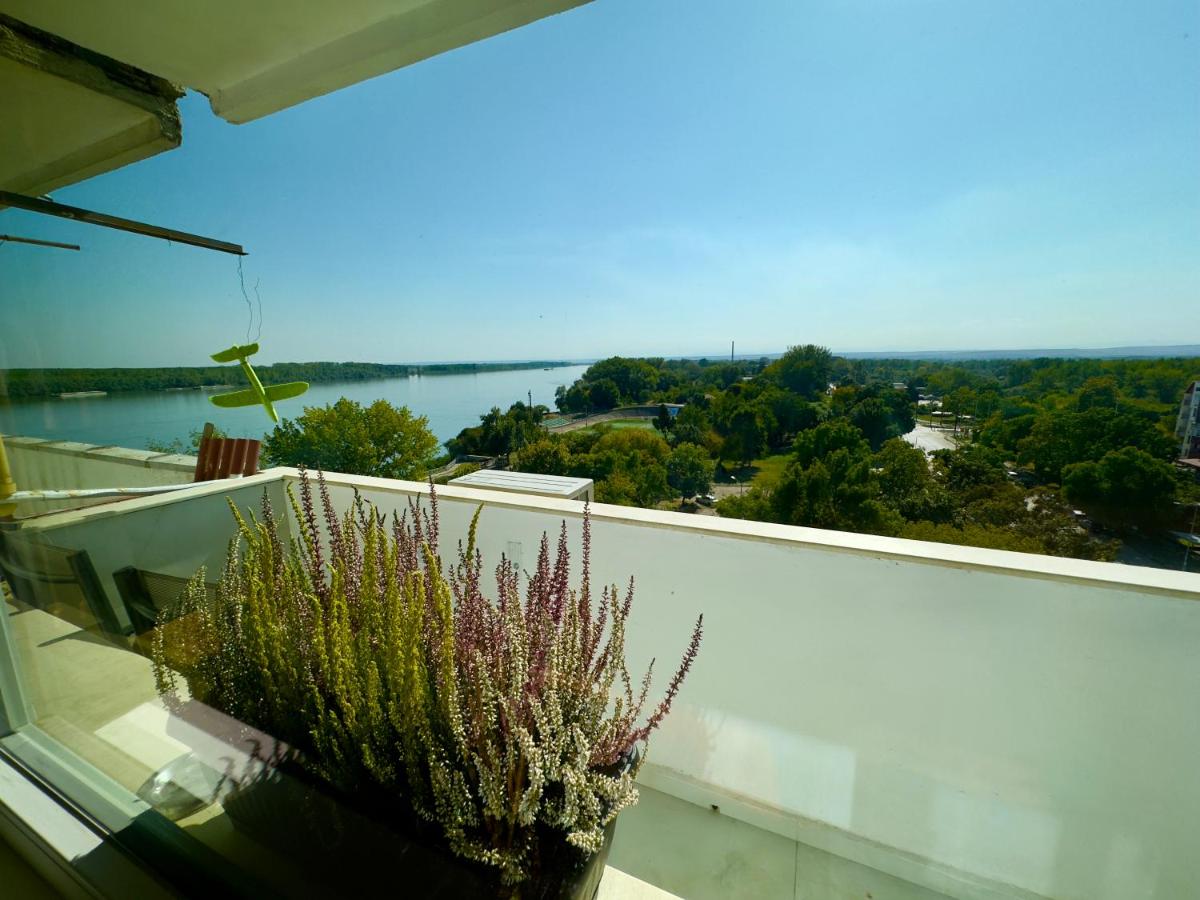 Bamboo tree Apartment - Hizvo
