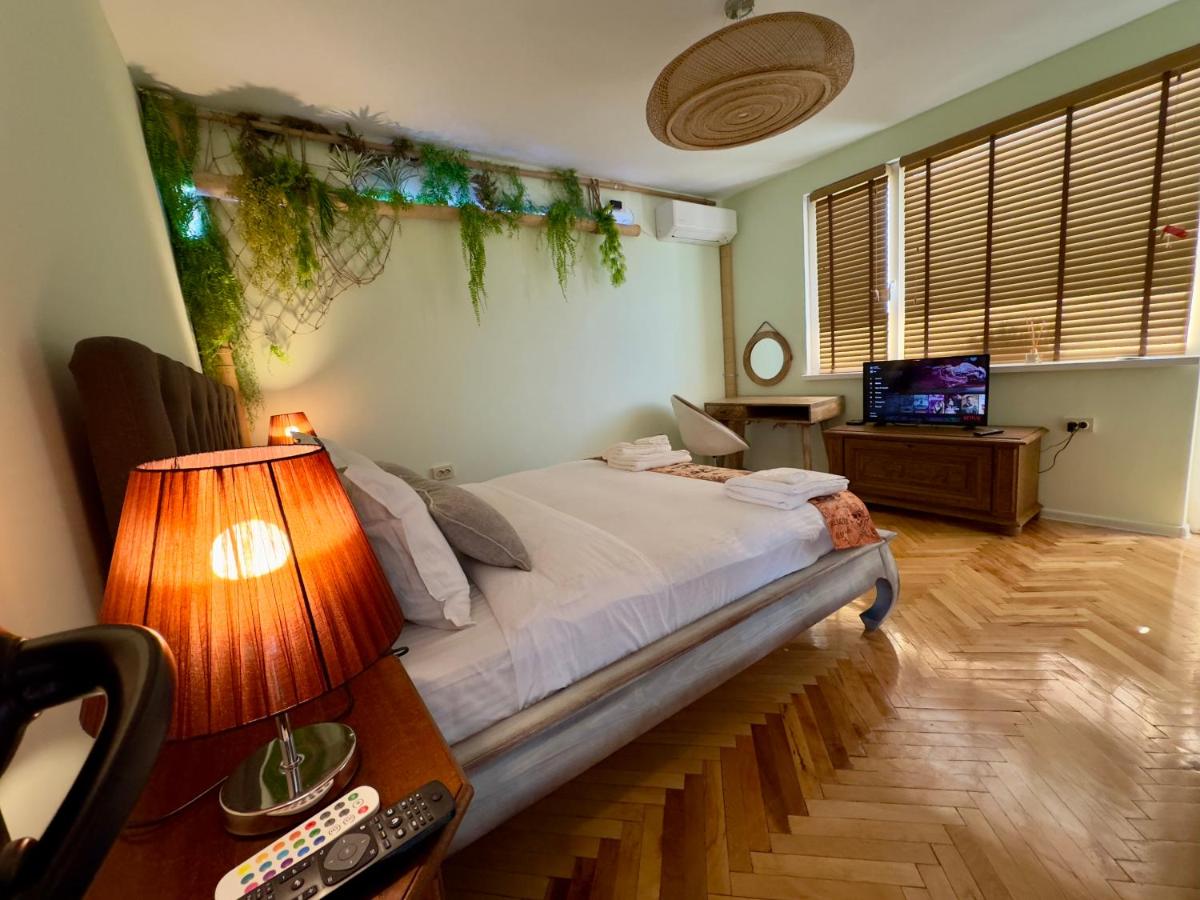 Bamboo tree Apartment - Hizvo
