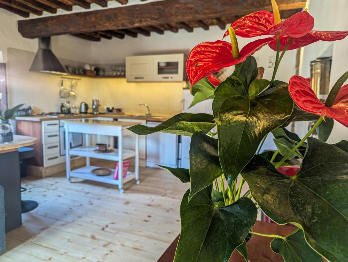 Il Palazzo, Le Fornaci - Housity