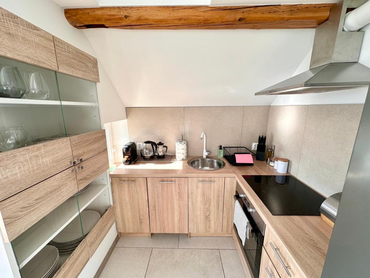 Klimatyczny apartament nr 8 z widokiem na góry Sowie - Housity