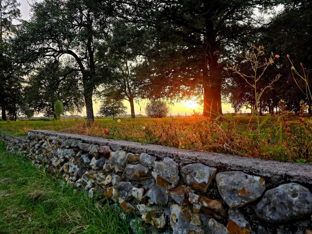 Domaine des bruns - Housity