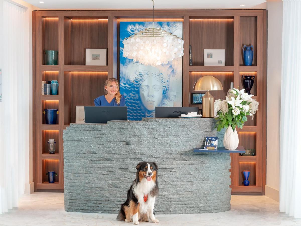 Animal ou animaux domestique(s) séjournant avec des clients dans l'établissement Bleu Hôtel & Spa