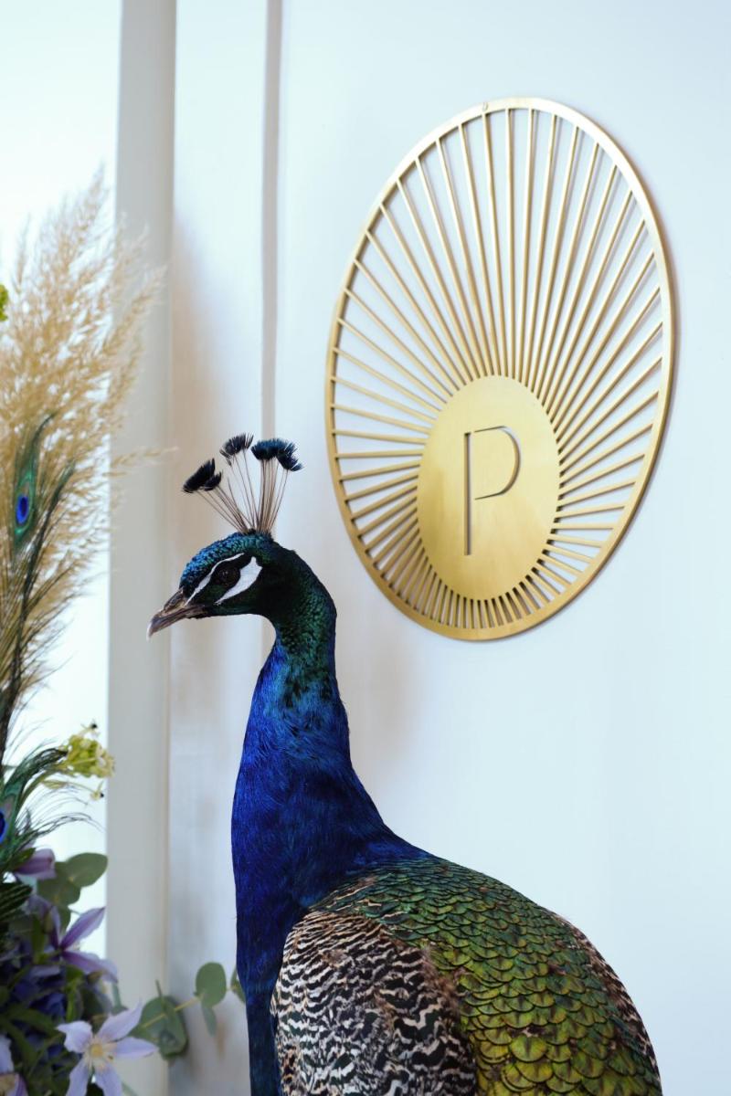Animaux dans l'hôtel ou à proximité