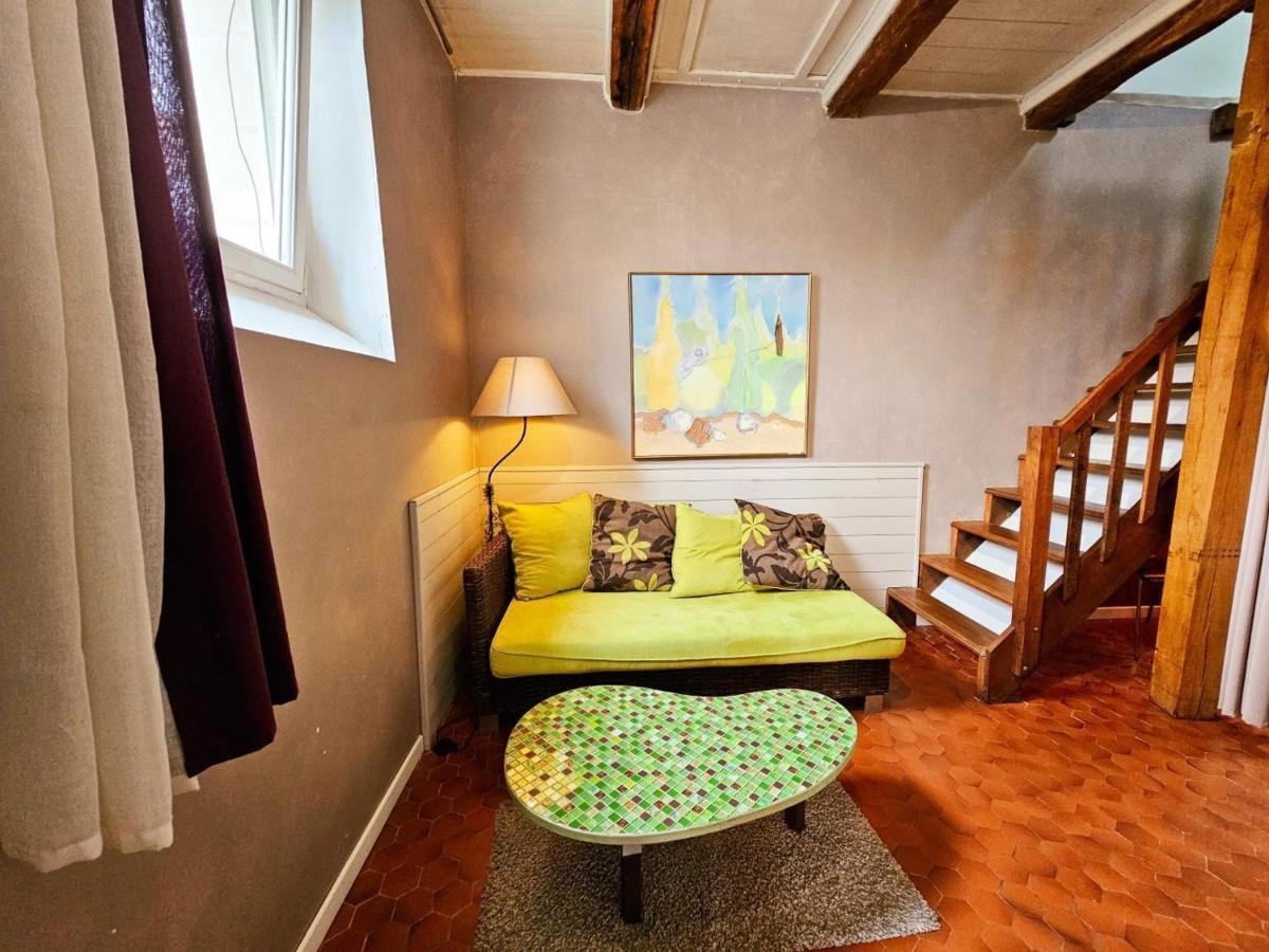 Charmante maison proche Châteaux de la Loire, jardin privé, parfait pour couples et familles - FR-1-381-371 - Housity