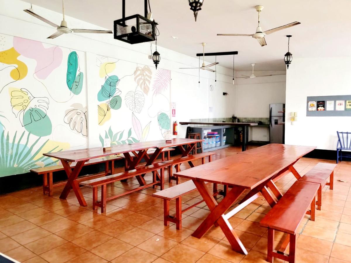 Poco a Poco Hostel - Housity
