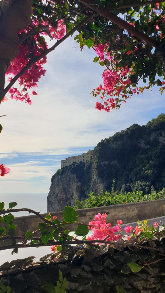 Casa Grace Amalfi - seaview - Housity