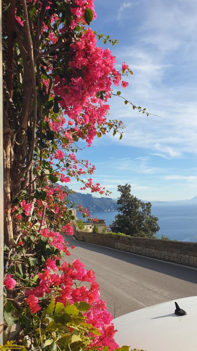Casa Grace Amalfi - seaview - Housity
