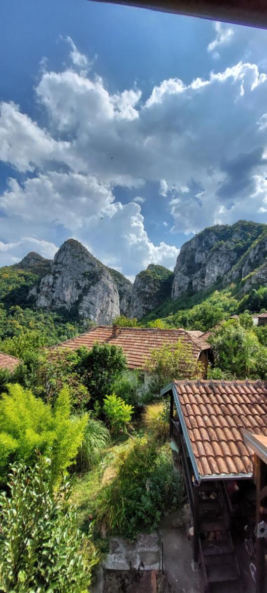 Golemi kamik Pirot Vlasi - Hizvo