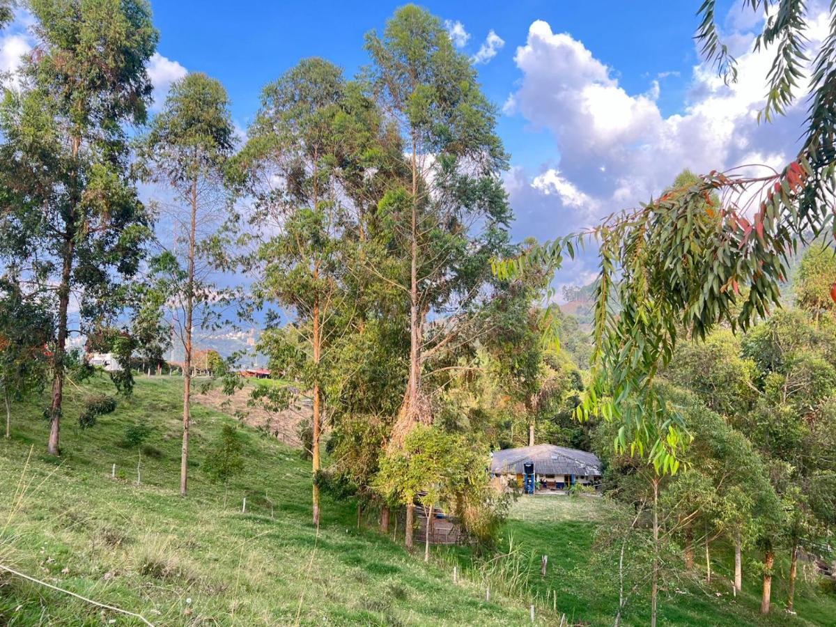 Las Hamacas (Hospedaje Rural) - Housity