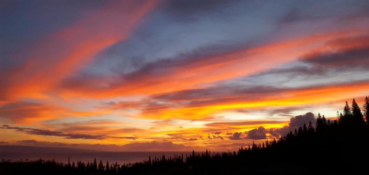KBM Resorts: Kapalua Golf Villa KGV-22T5 Custom villa Ocean views Includes Rental Car - Housity