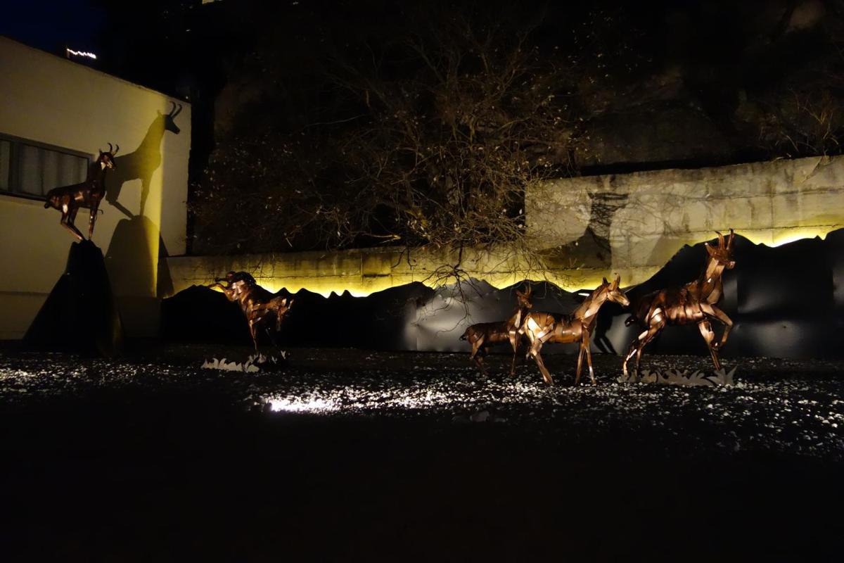 Animaux dans l'hôtel ou à proximité