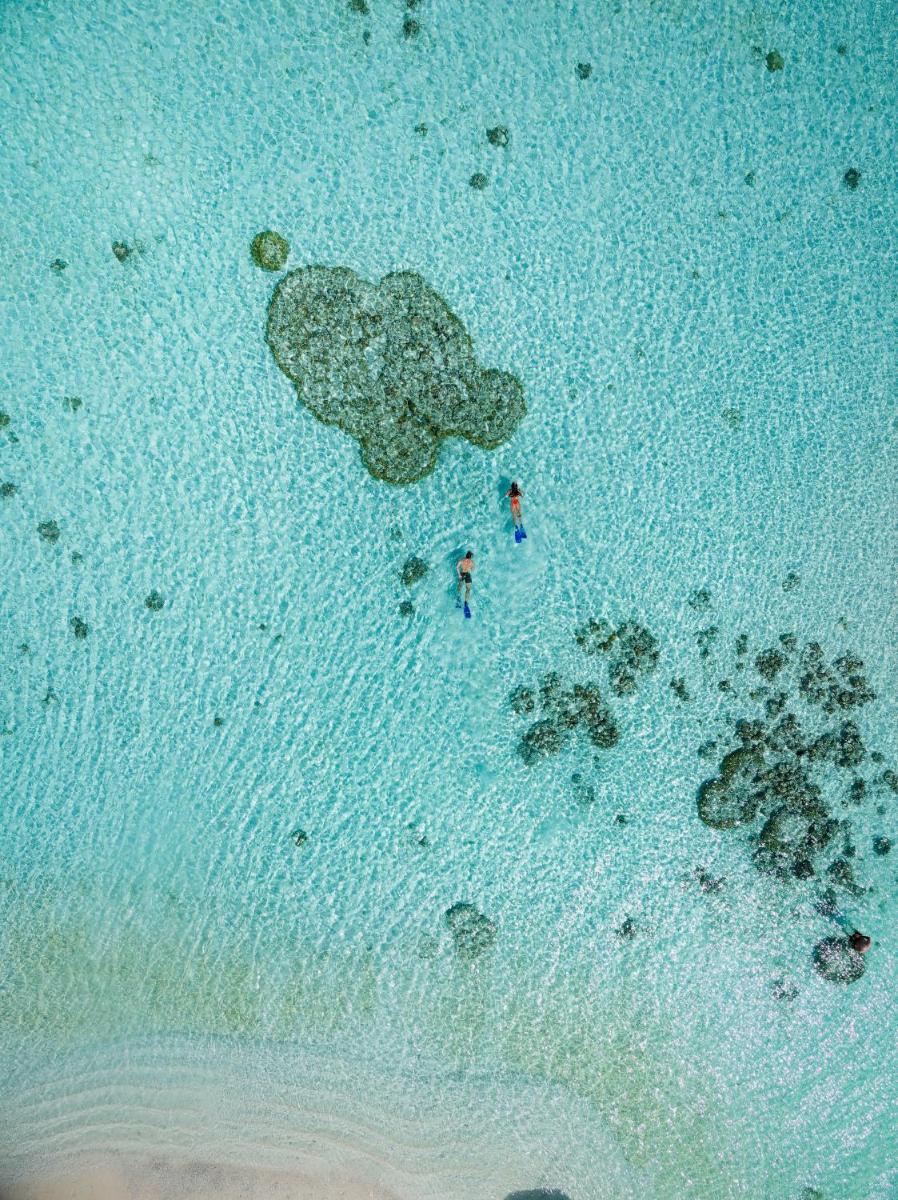 Canareef Resort Maldives - Housity