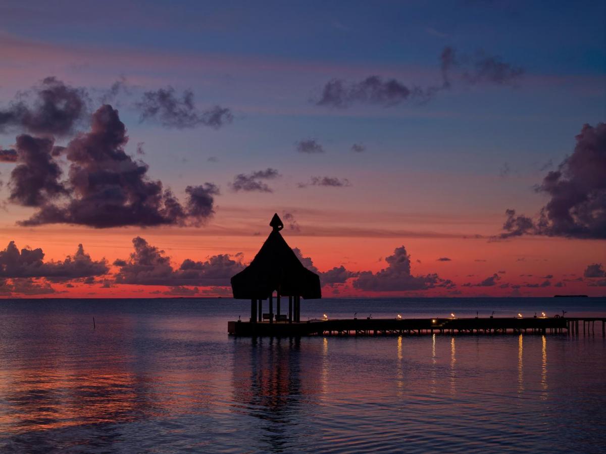 Canareef Resort Maldives - Housity