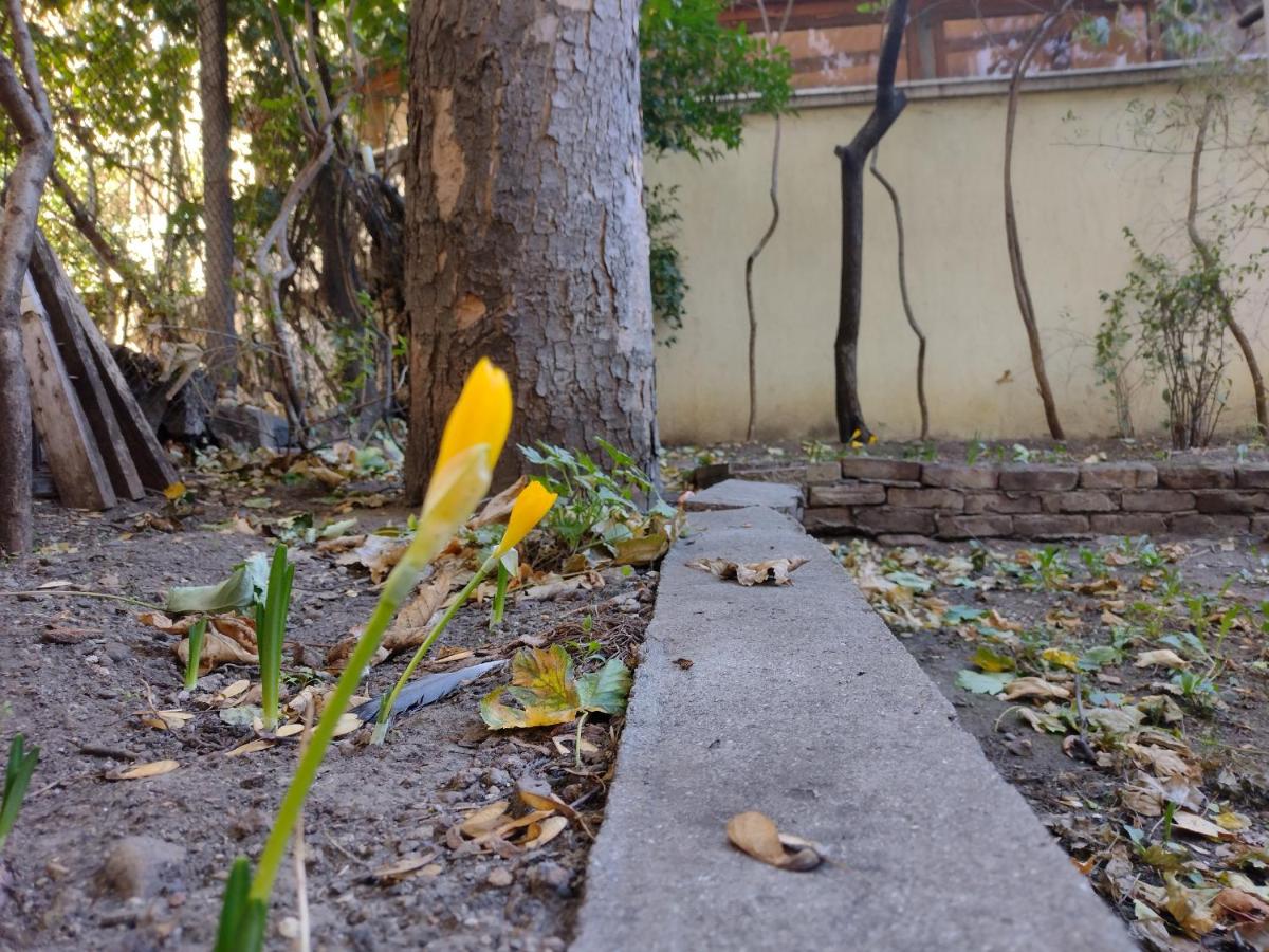 Charming Central Home with Garden near Parking and NDK - Housity
