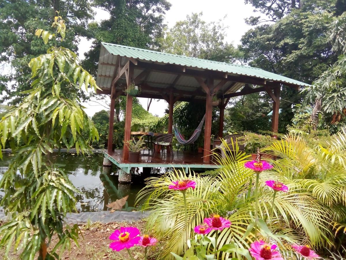 Greenhouse Loft Miravalles - Housity