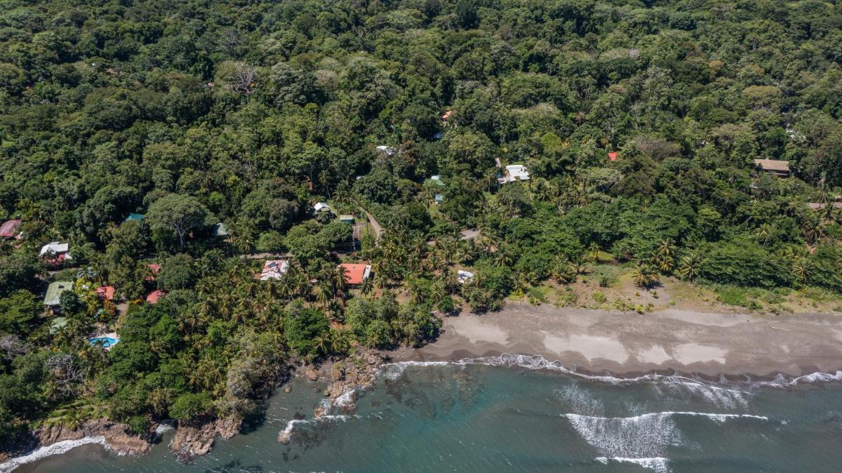 Playa Grande Lodge & Tree House - Housity