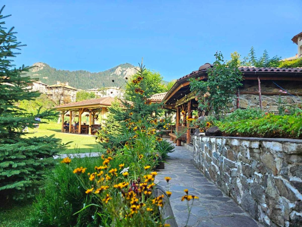 Hotel Daffi - Housity