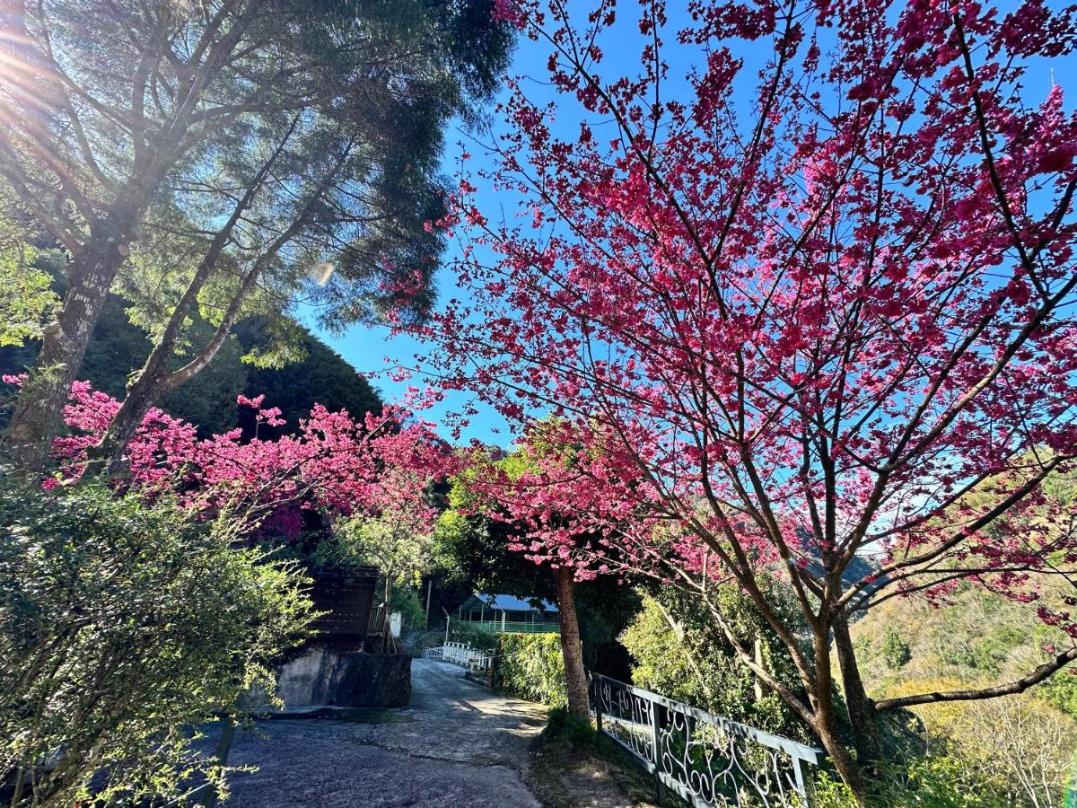 福緣山莊 桃園市民宿004號 - Housity