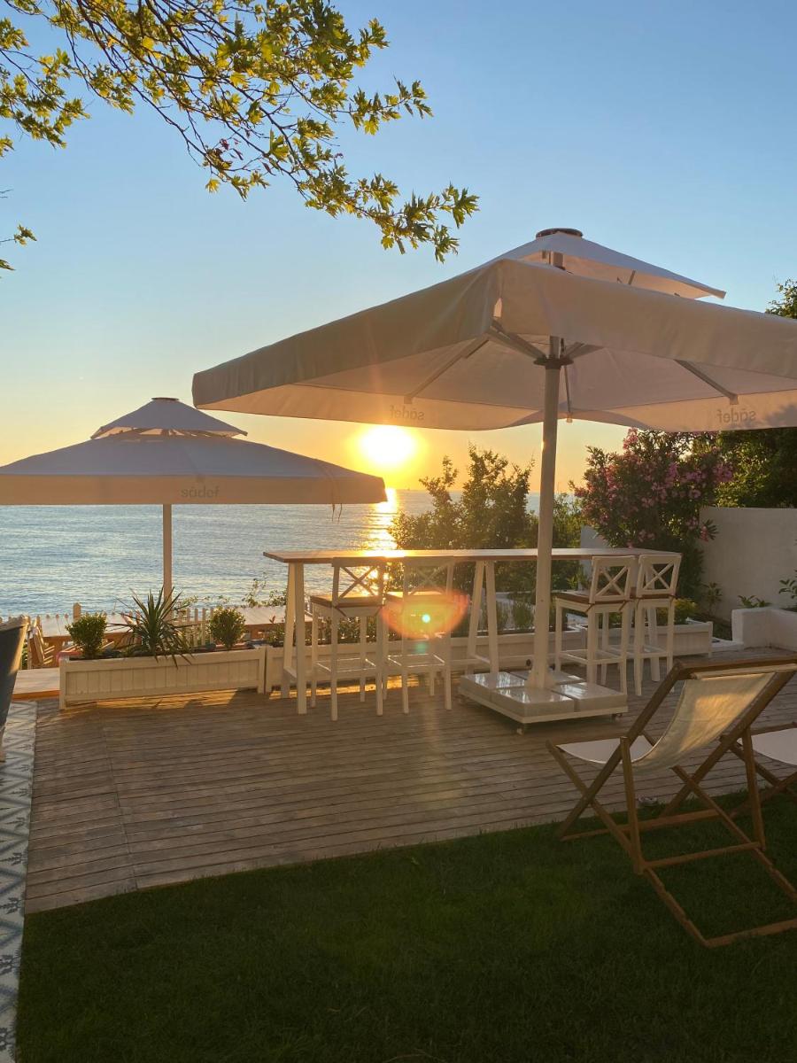 Sadef Akkonak - Housity