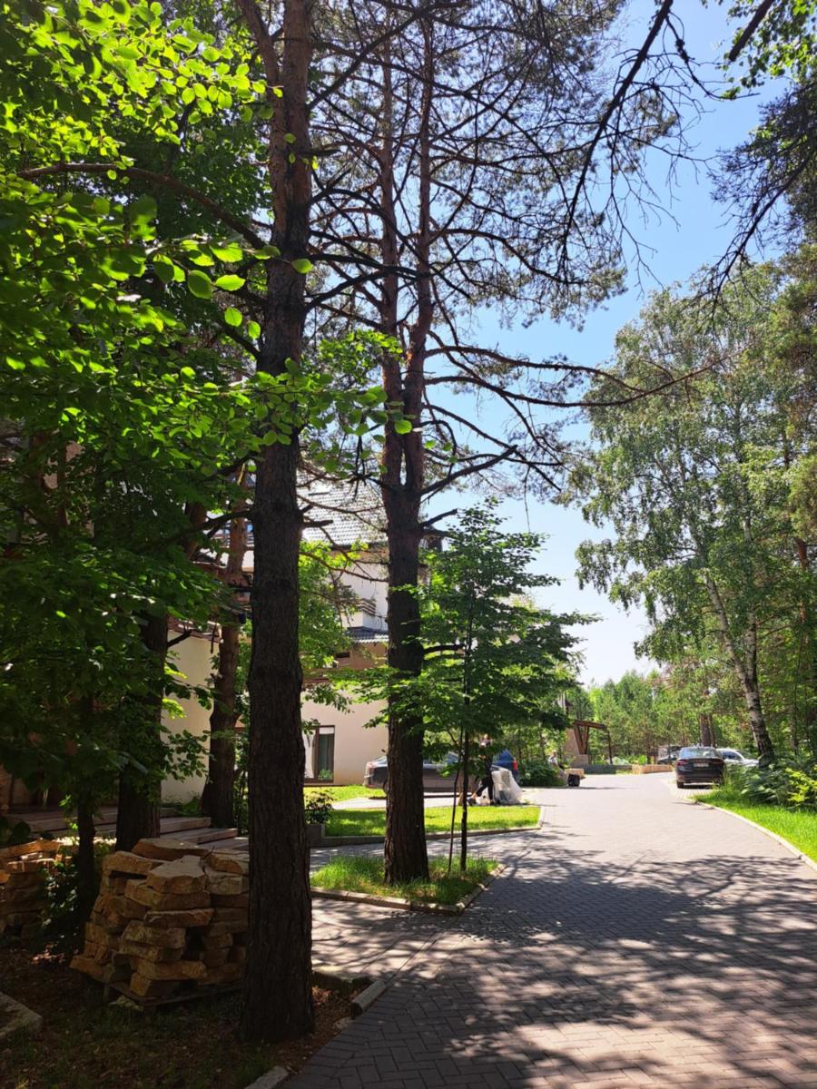 Maglian Forest Retreat - Housity