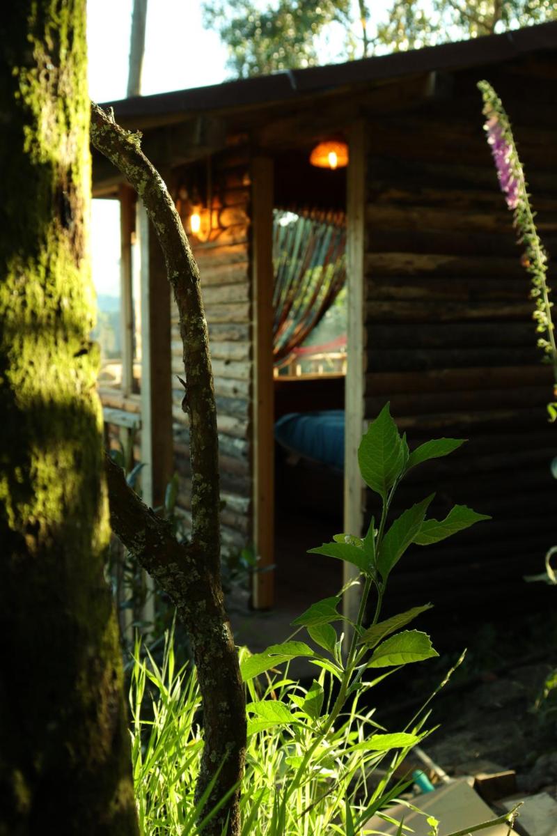 Casiopea Glamping - Housity