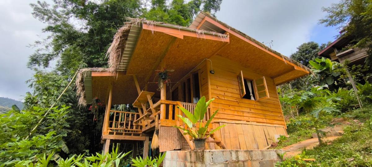 PeaMoo Homestay - Housity