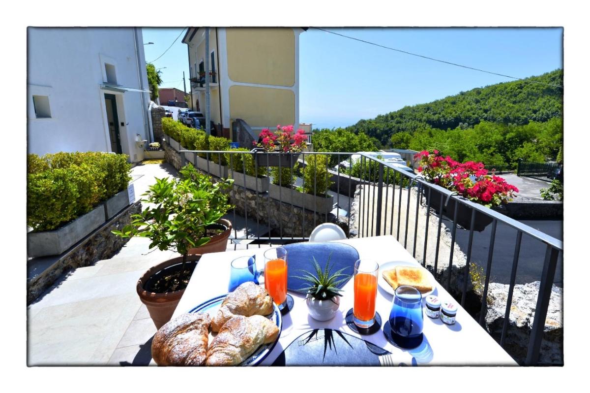 BLUE BOUTIQUE - Housity