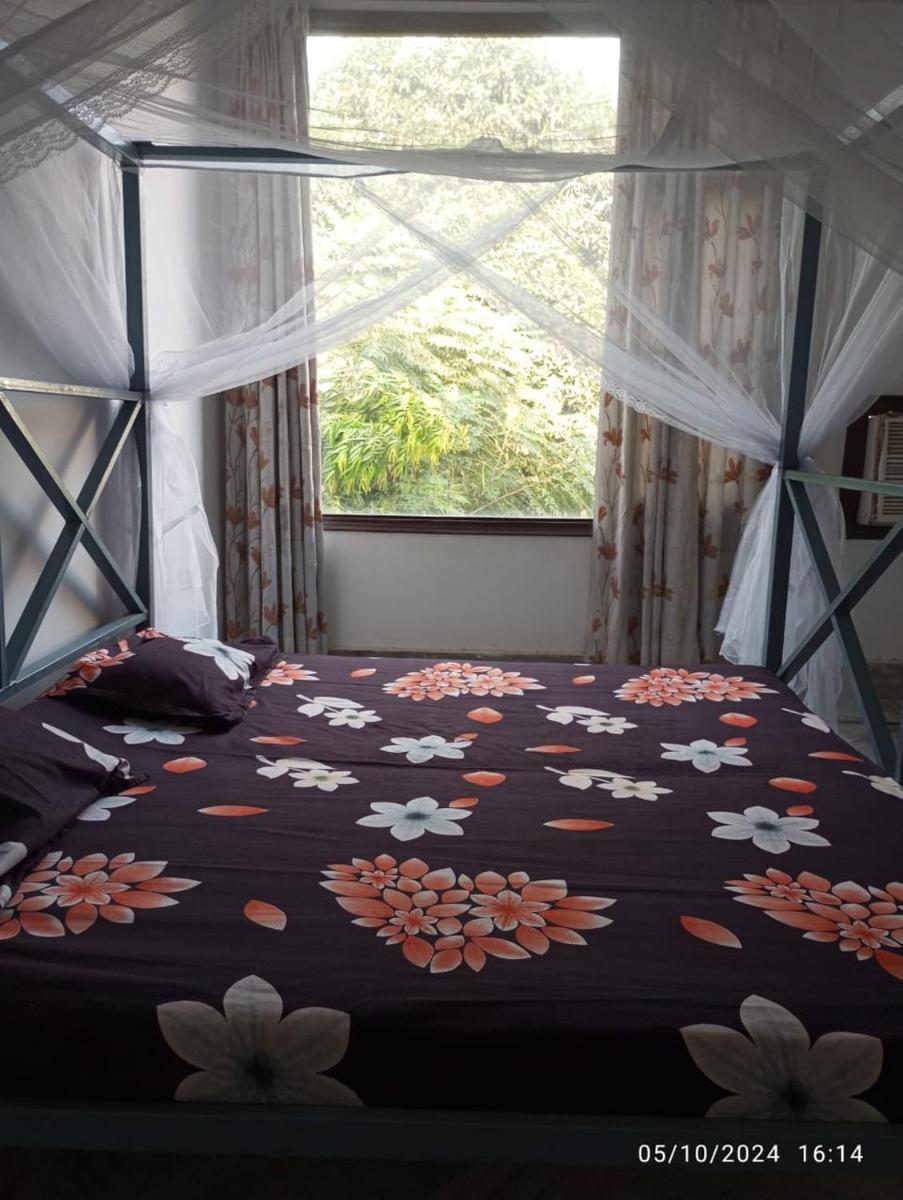 Backpackers Station - Hizvo