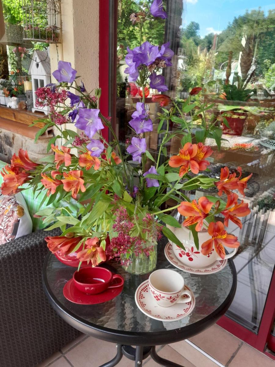 Chambre d'hôte Amitié et Jardin - Housity