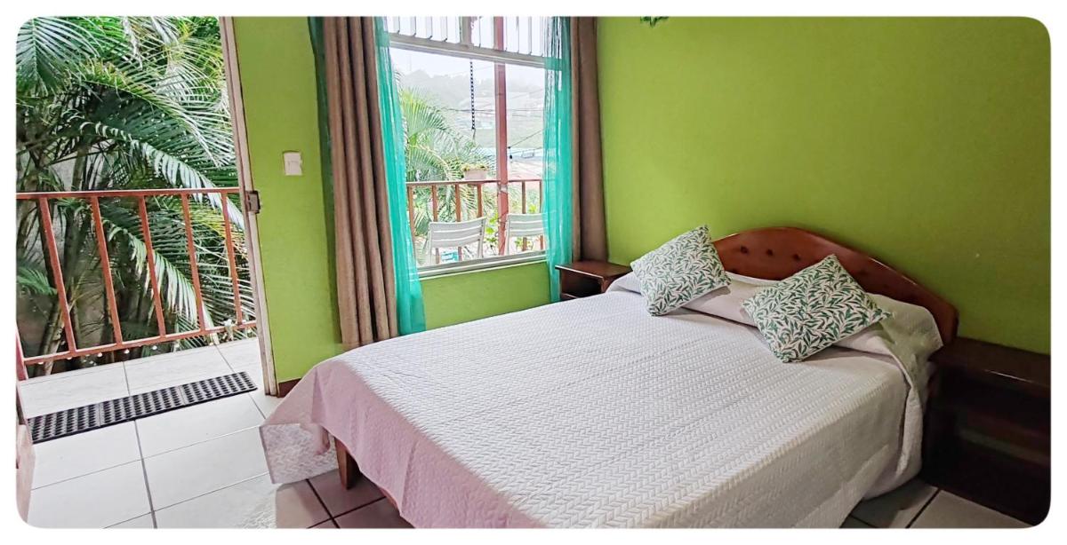 Hotel & Hostel Sloth Backpackers - Housity