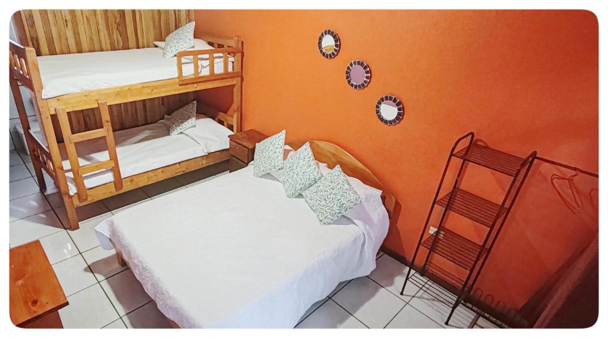 Hotel & Hostel Sloth Backpackers - Housity