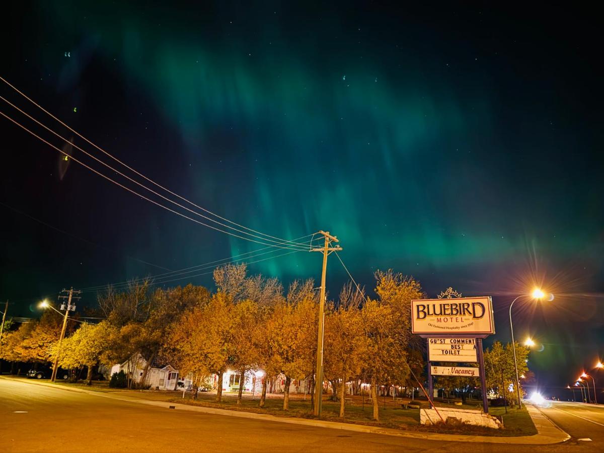 Bluebird Motel - Housity