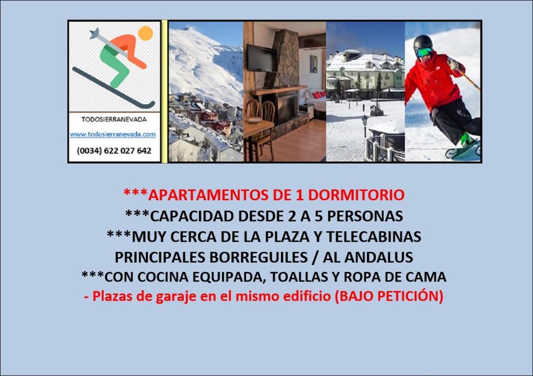 TODOSIERRANEVADA ZONA BAJA - EDIFICIO ALHAMBRA - Junto a los Telecabinas - Housity