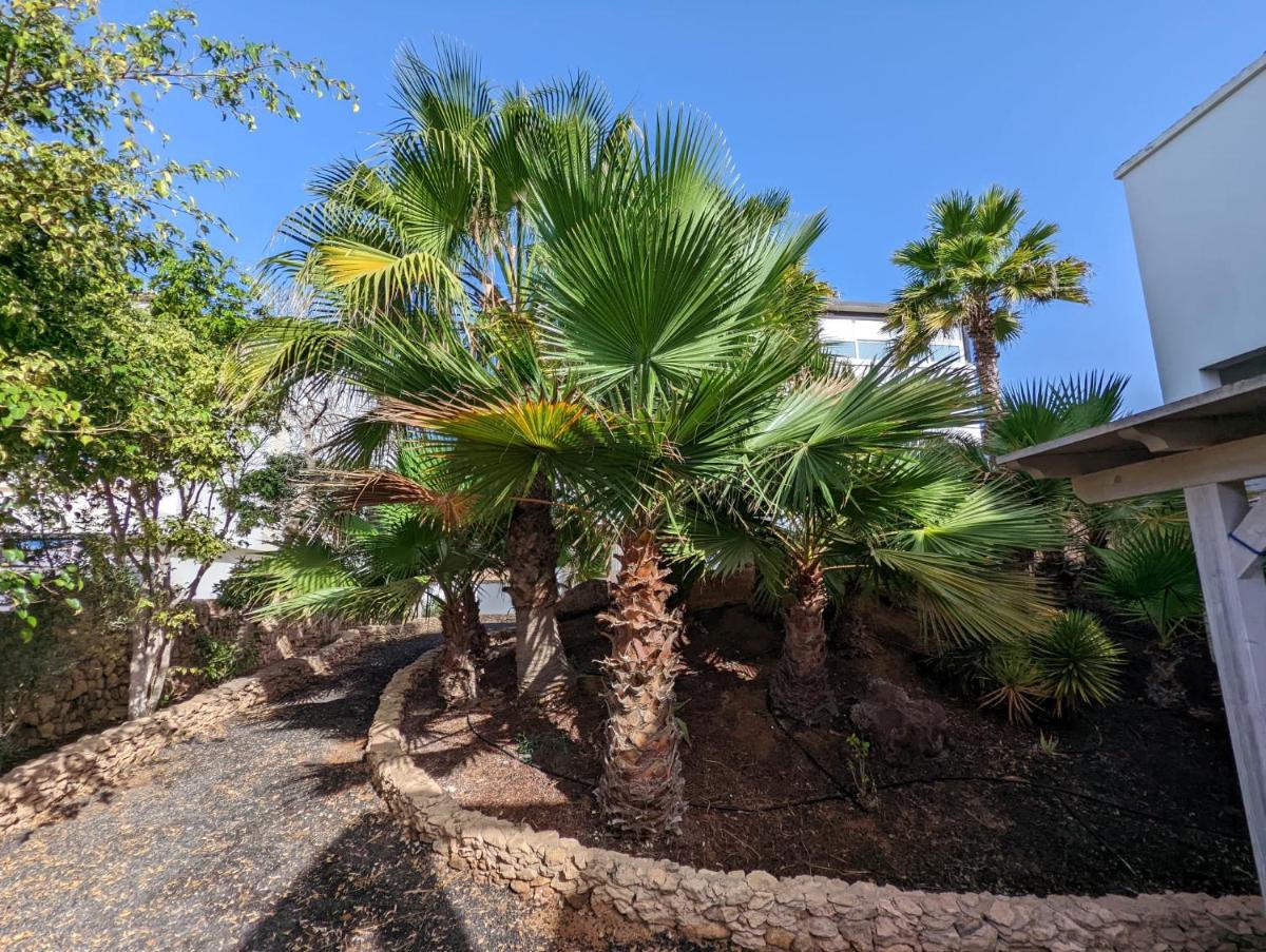 Costa Calma Apartment OASIS - Housity