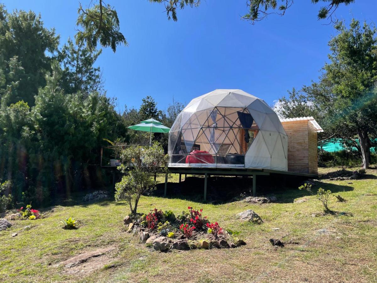 El Alpino Cabaña Glamping & Camping - Housity