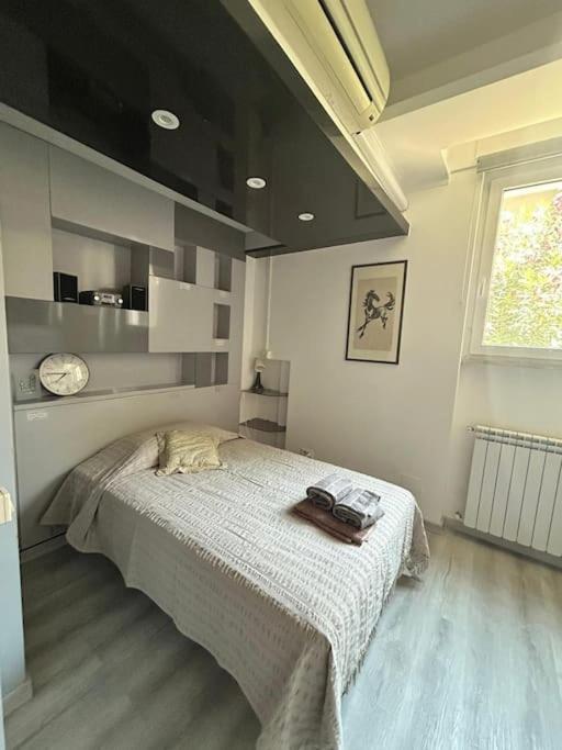 Ipponatte 29 Roma Casal Palocco - Housity