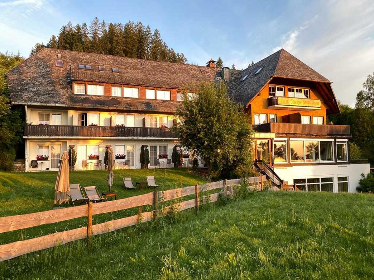 Hotel Tannhof - Housity
