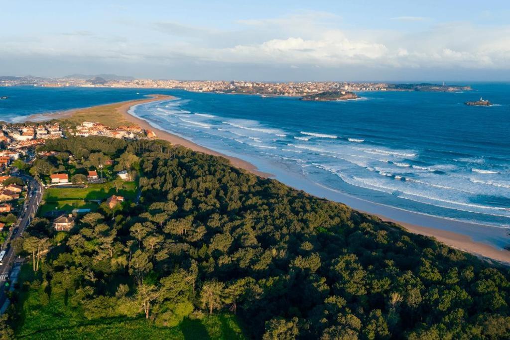 Hotel Bemon Playa - Housity