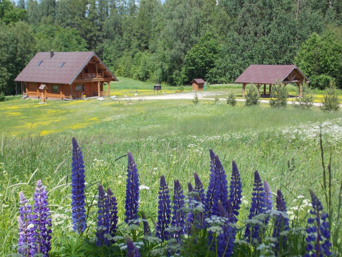 Guest House Kalniņi - Housity