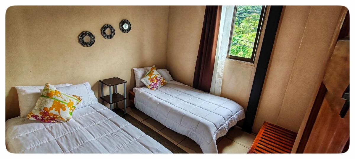 Hostel Coati Place Bed & Breakfast Adults Only - Housity