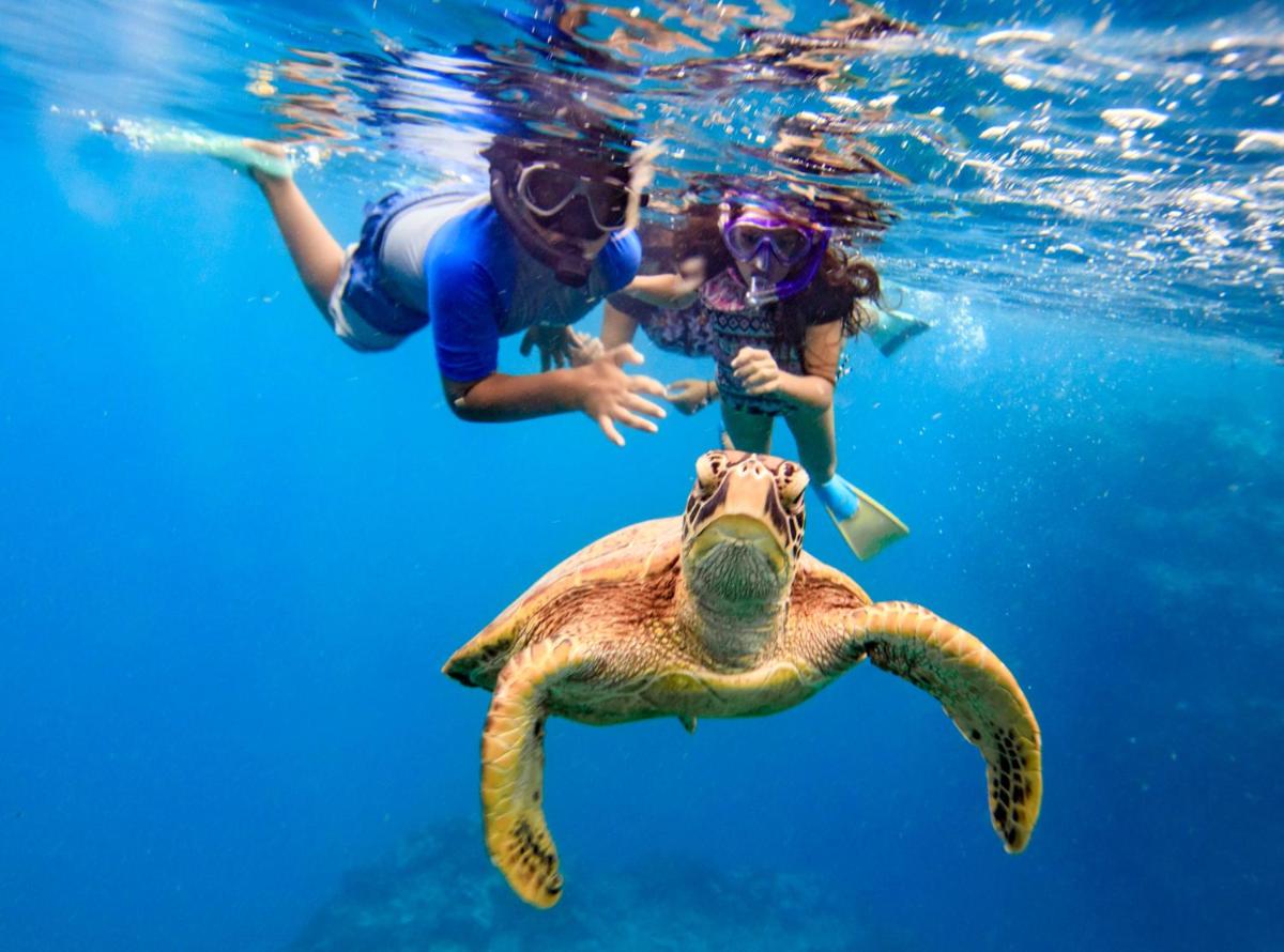 Suitetrails - The Rarotongan Beach Resort & Lagoonarium