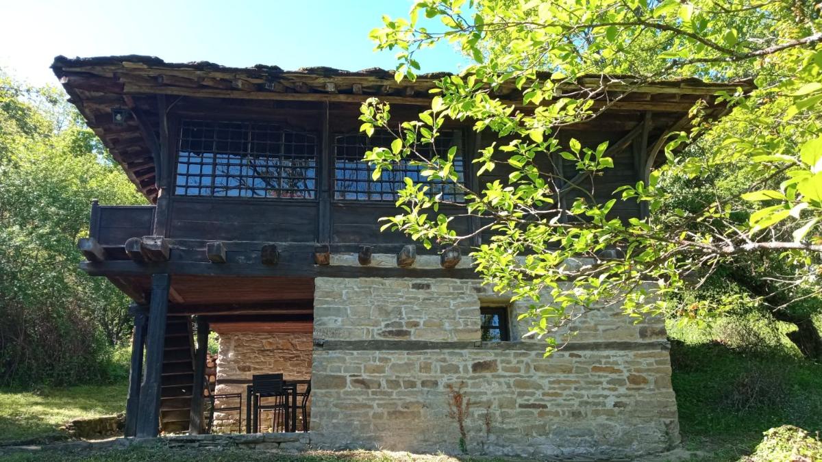 Guest house Cana Mihova - Housity